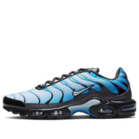 Nike Air Max Plus 'Blue Gradient' FQ0204-010