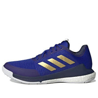 adidas Crazyflight HQ3488