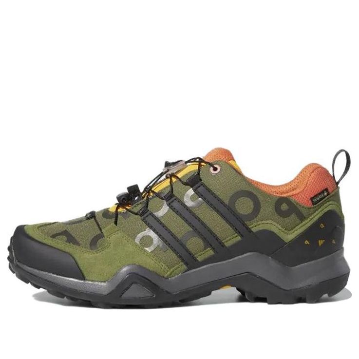 adidas Pop Terrex Swift R2 GORE-TEX x Trading Company 'Wild Pine' GW9658