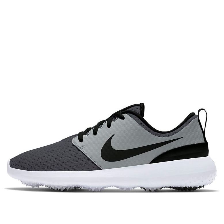 (WMNS) Nike Roshe Golf 'Anthracite Particle Grey' CD6066-003