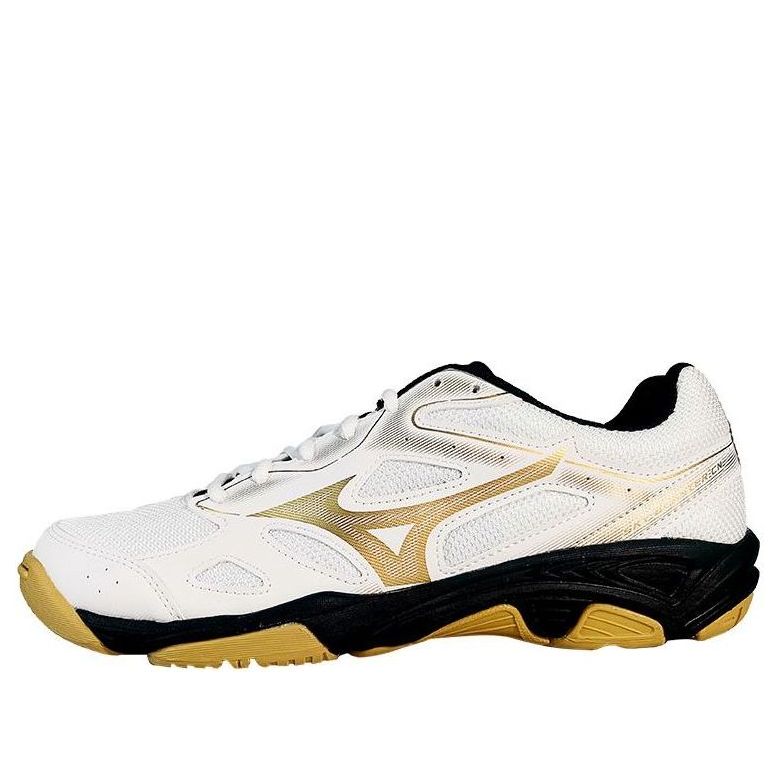 Mizuno Sky Blaster 'SlipResistant Durable Low Badminton' 71GA234601