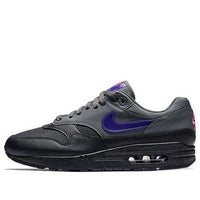 Nike Air Max 1 'Fierce Purple' AR1249-002
