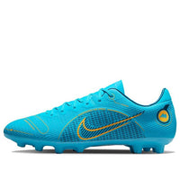 Nike Mercurial Vapor 14 Pro HG Blue DJ2847-484