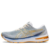 ASICS GT-2000 10 'Light Steel Amber' 1011B185-404