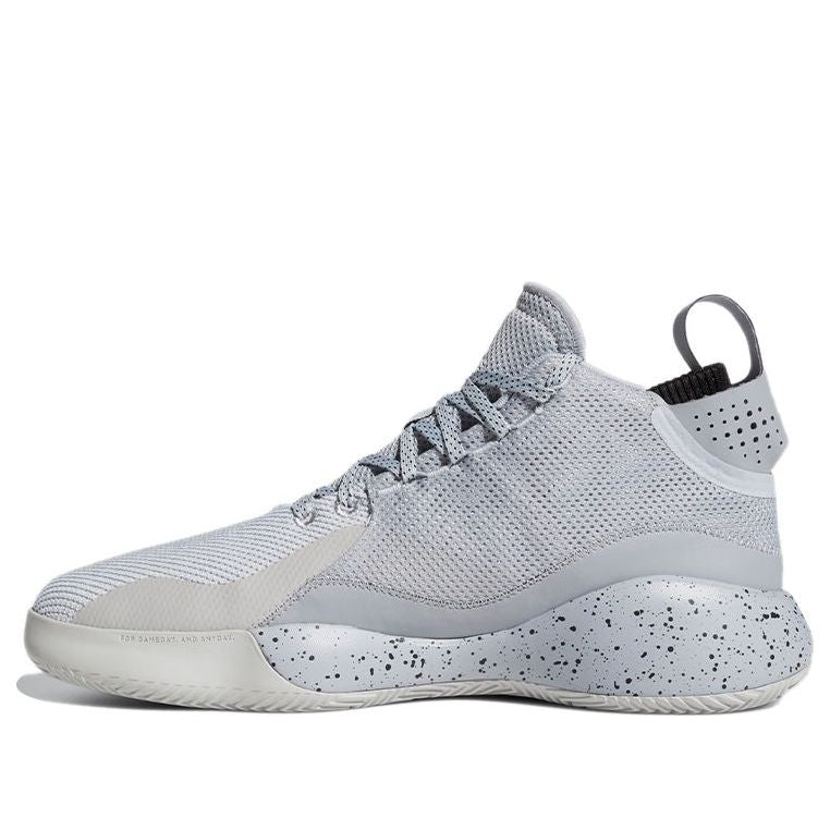 adidas D Rose 773 2020 'Halo Silver' FX2529