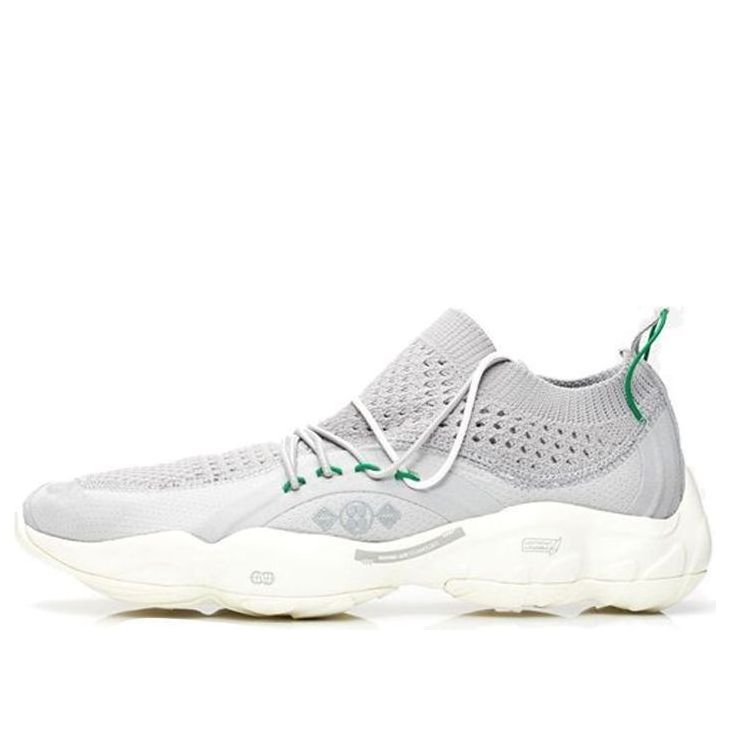 Reebok DMX Fusion 'Grey Basil' CN3602