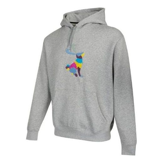 Nike graphic hoodie 'Grey' DH2882-063