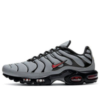 Nike Air Max Plus 'Wolf Grey' DC1936-002