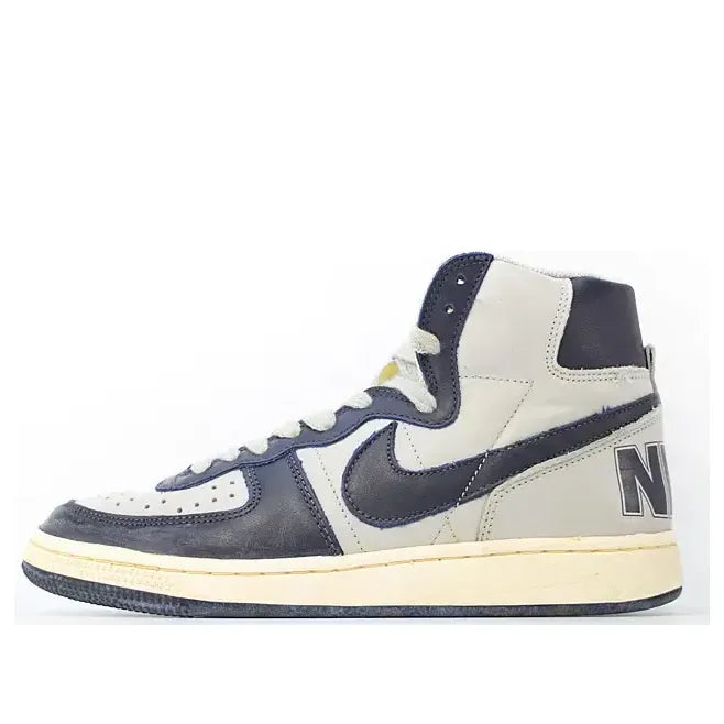 Nike Terminator Hi Vintage 318677-041