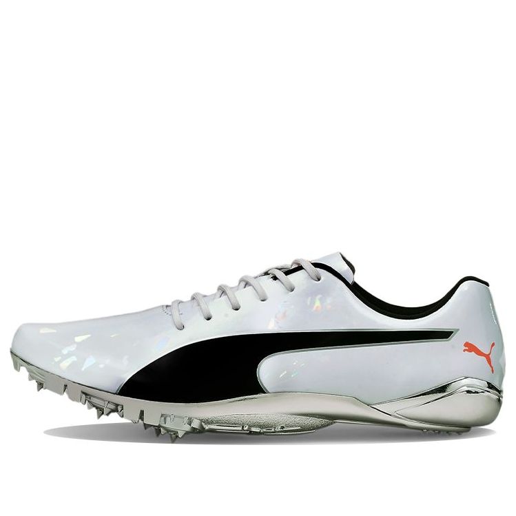 PUMA evoSPEED Electric 10 'Grey' 194475-01