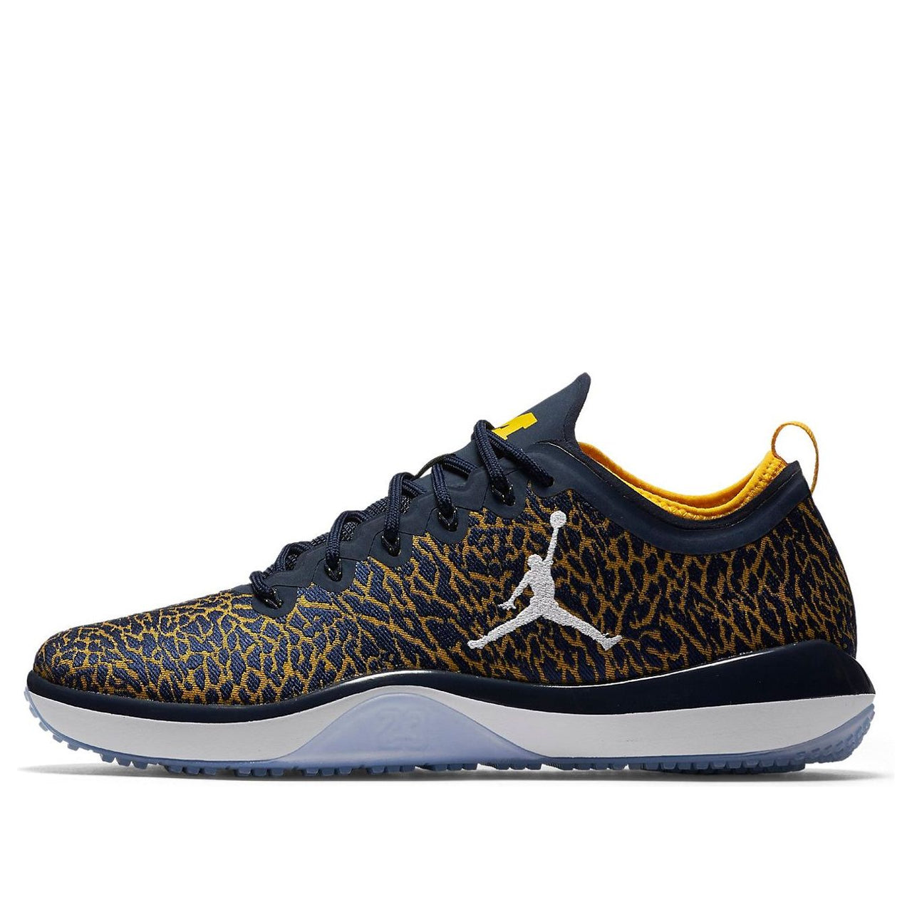Air Jordan Trainer 1 Low 'Michigan' 845403-420