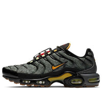 Nike Air Max Plus 'Fresh Perspective' DC7392-300