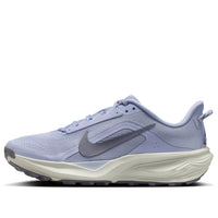 (WMNS) Nike ACG Pegasus Trail 'Ghost Mineral Slate' HV8121-003