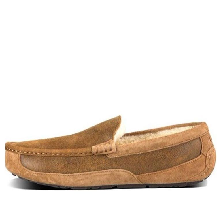 UGG Ascot Bomber 'Khaki Brown' 1008391-BJCE