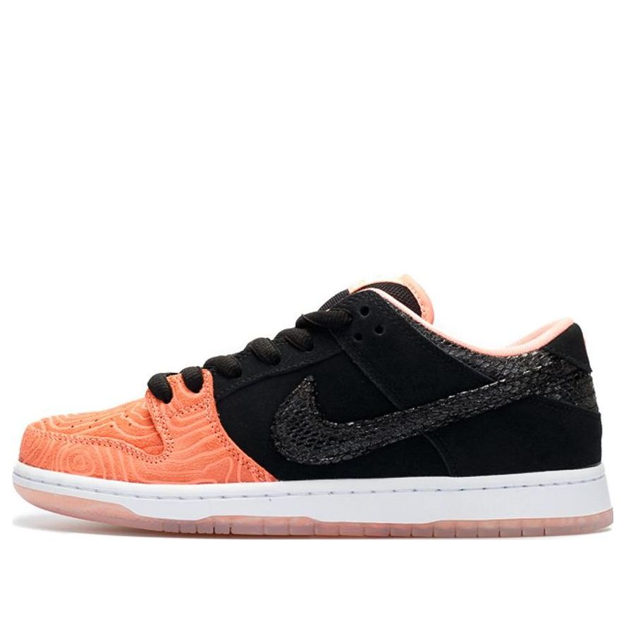 Nike x Premier SB Dunk Low Pro 'Fish Ladder' 313170-603