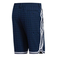 adidas Checkered 'Collegiate Navy White' DV3111