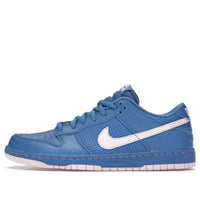 Nike SB Dunk Low 'Blue White' 313170-462