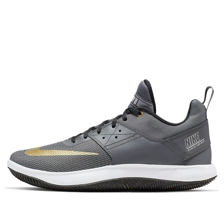 Nike Fly By Low 2 'Grey Gold' AJ5902-002