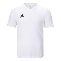 Men's adidas Solid Color Minimalistic Logo Embroidered Casual Sports Short Sleeve White T-Shirt HC5071