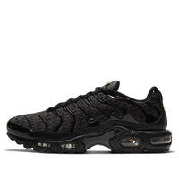 Nike Air Max Plus 'Black' DD9609-001