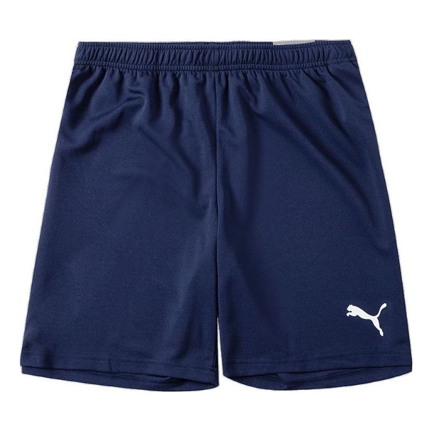 PUMA Team Rise Training Shorts 'Navy' 704942-06