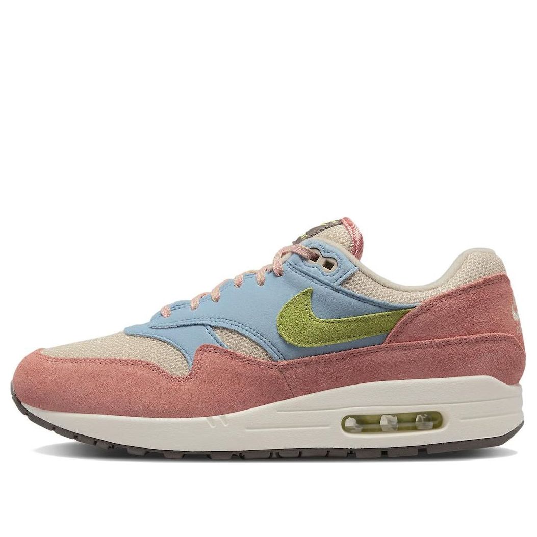 Nike Air Max 1 'Light Madder Root' DV3196-800