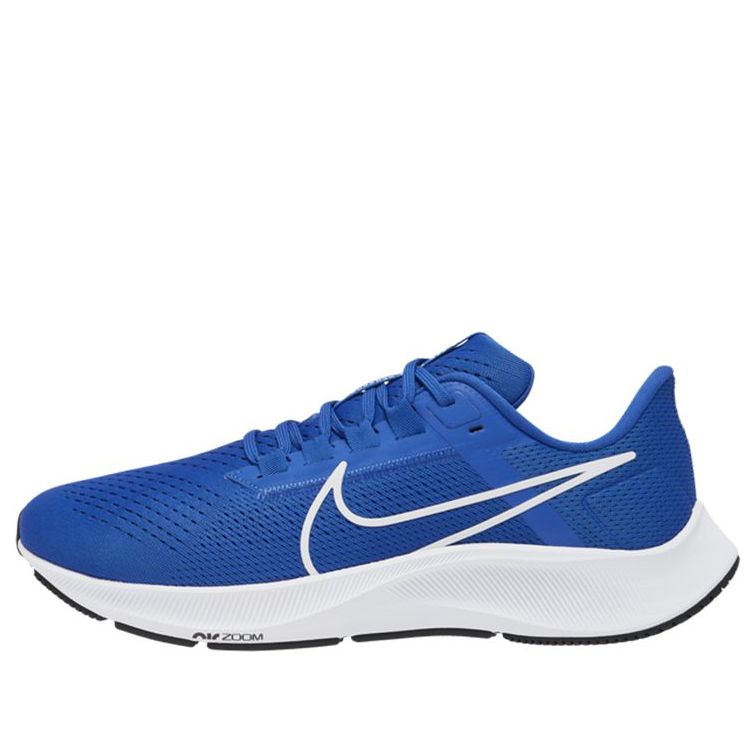 Nike Air Zoom Pegasus 38 TB 'Game Royal' CZ1893-403