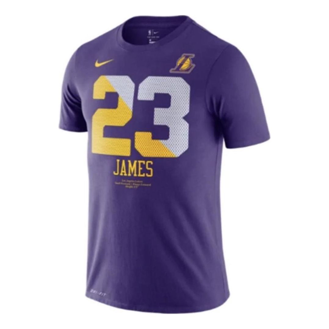 Nike LAKERS JAMES jersey 'Purple' AT1161-547