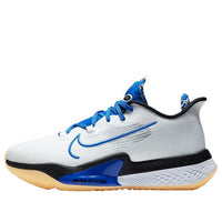 Nike Air Zoom BB NXT 'Sisterhood' DB9990-100