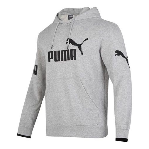 PUMA Power Training Hoodie 'Grey' 676667-04