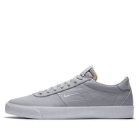 Nike Zoom Bruin SB 'Wolf Grey' AQ7941-008