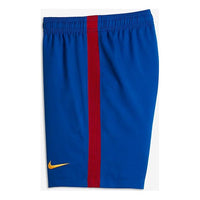 Nike Non MENS SHORTS 777018-480