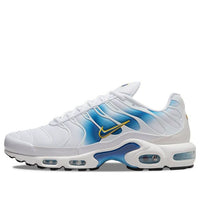 Nike Air Max Plus 'Spray Paint Swoosh' DX8962-100
