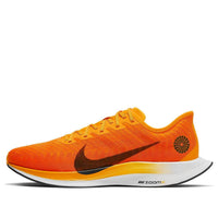 Nike Zoom Pegasus Turbo 2 'Blue Ribbon Sports' CK9661-800