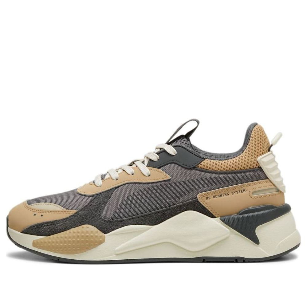 PUMA RS-X Suede 'Grey Beige' 391176-12