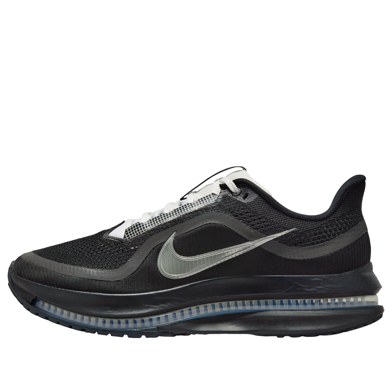 Nike Pegasus Premium SP 'Black Metallic Silver' IH4369-001