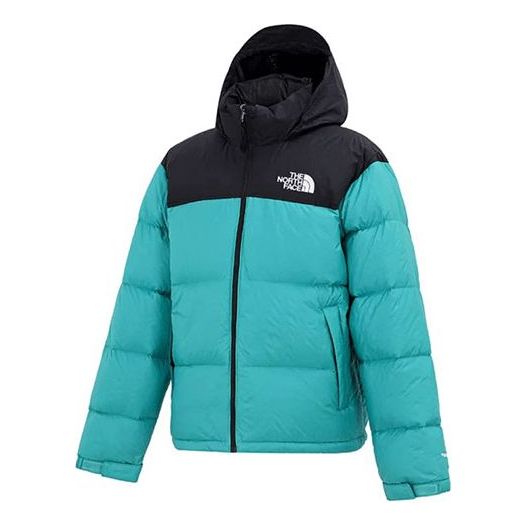 THE NORTH FACE 1996 Retro Nuptse Jacket NF0A3C8D-ZCV