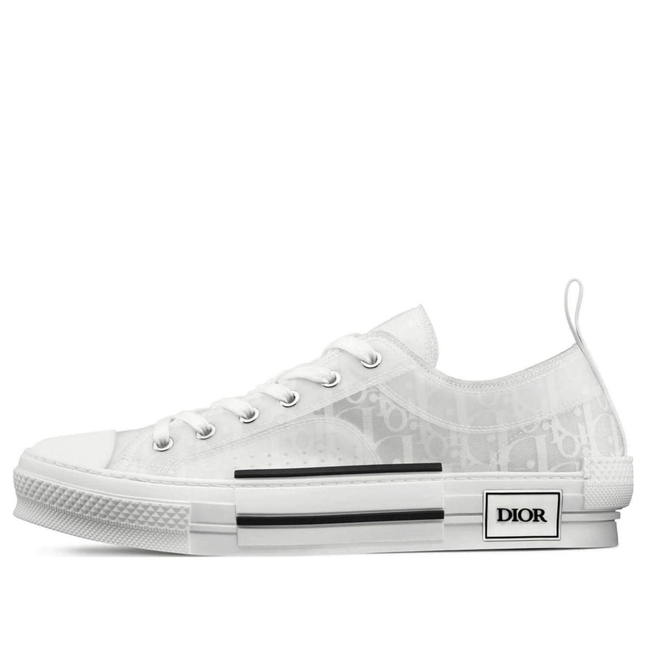 DIOR B23 Oblique Low-Top Grey 3SN249YNT_H060