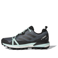 (WMNS) adidas Terrex Skychaser LT GTX 'Ash Grey Mint' F36120
