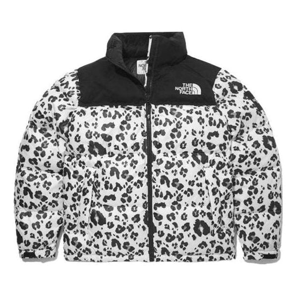 THE NORTH FACE Novelty Nuptse NJ1DM50L