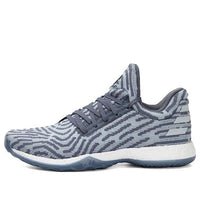 adidas Harden Volume 1 LS Primeknit 'Raw Steel' AC8408