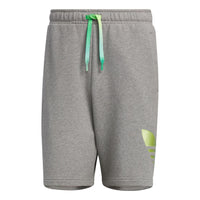 adidas Originals Knit Shorts 'Grey' IP7544
