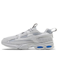 Reebok Dmx6 Mmxx Gray FW6652
