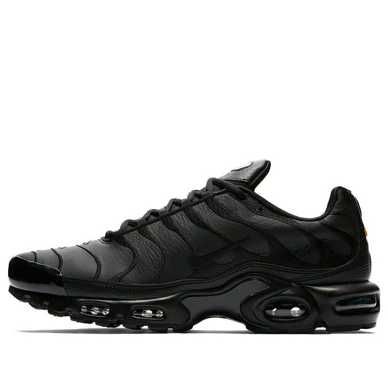 Nike Air Max Plus TN 'Triple Black' AJ2029-001