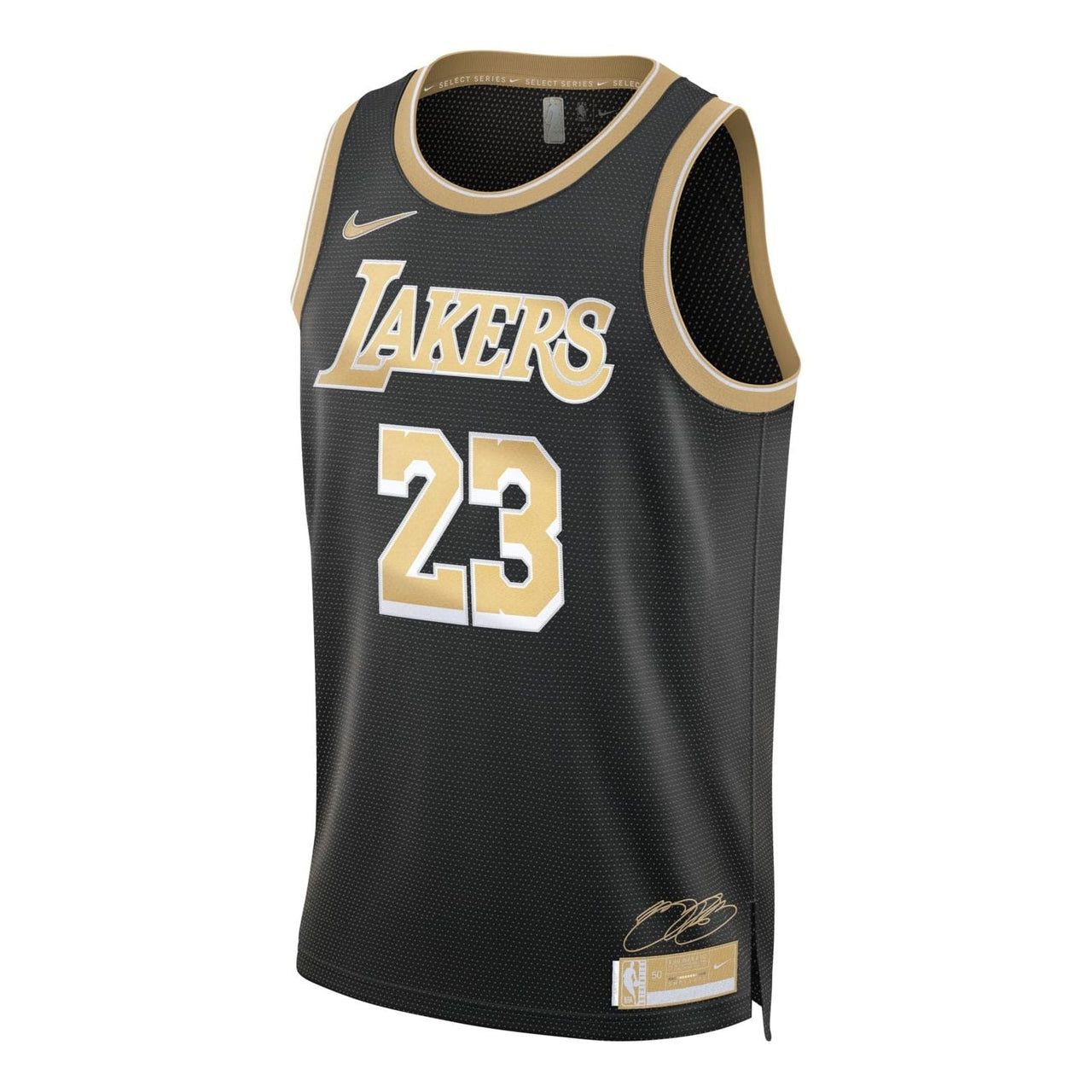 Nike NBA LeBron James Los Angeles Lakers 2024 Select Series Swingman Jersey #23 FN5913-053