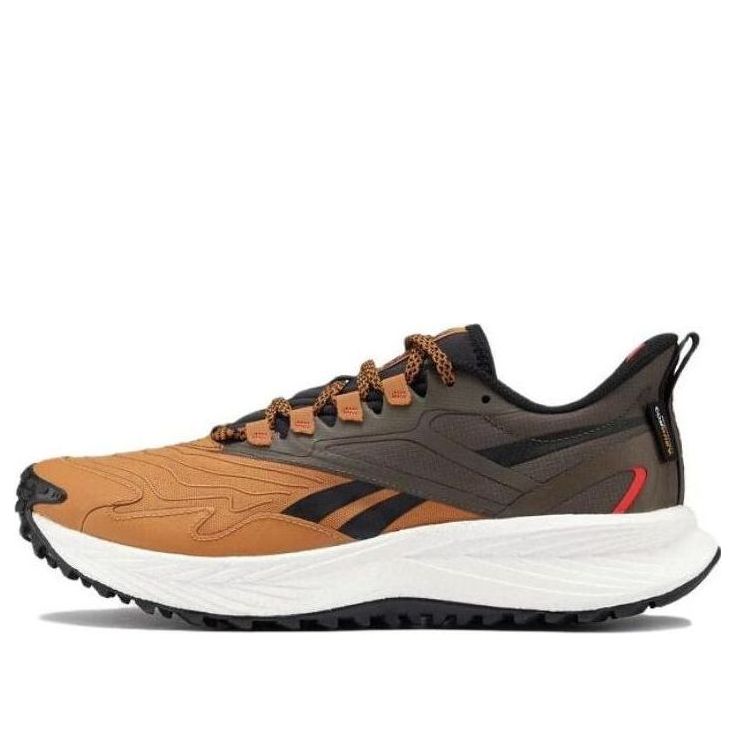 Reebok Floatride Energy 5 Adventure 'Coubro Gro' 100033457