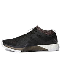 (WMNS) adidas CrazyTrain Elite 'Black' BA7973