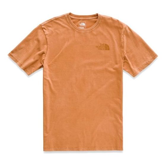THE NORTH FACE Men's Short-sleeve Shine One Tee NF0A3SXAHBX
