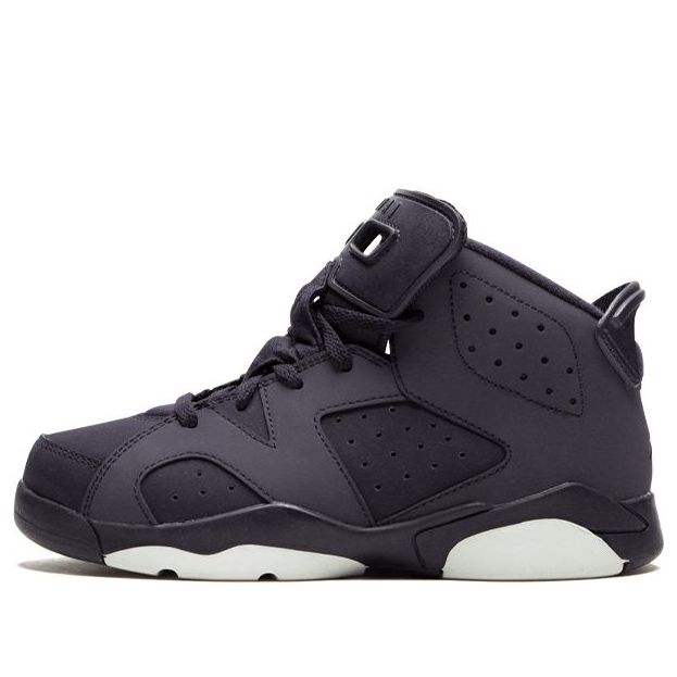 (PS) Air Jordan 6 Retro 'Purple Dynasty' 543389-509