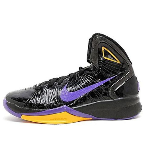 Nike Hyperdunk 2010 'Varsity Purple Del Sol' 407625-003